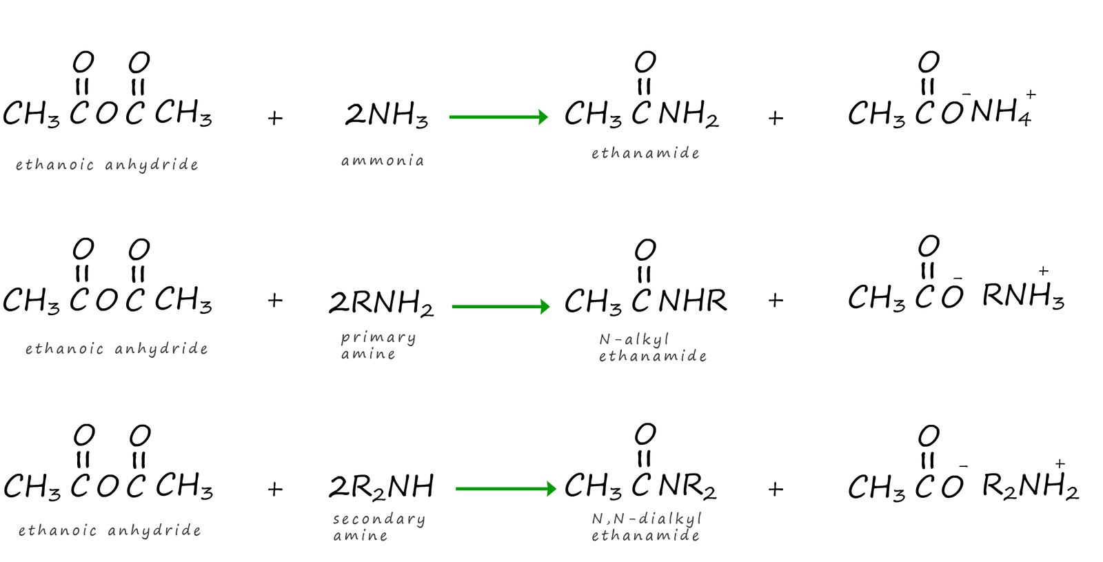 equations to show the reactions of ammonia, primary amines 
and secondary amines with athe acid anhydride ethanoic anhydride